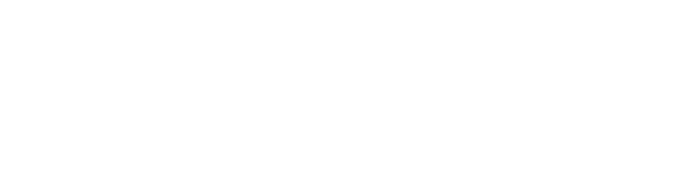 BTS_Spark_Logo_wTagline_White-1